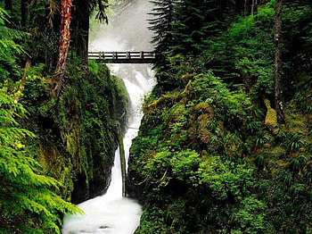 Bridge Across Water Stream, river, trees, bridge, water, stream, mountain HD wallpaper