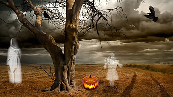 All Hallows Eve, ghosts, spirits, dead tree, spooky, haunted, jack-o-lanterns, field, Halloween, pumpkin, sky HD wallpaper