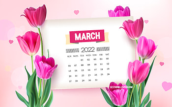 March 2022 Calendar, , pink tulips, spring background with tulips, March, 2022 spring calendars, spring flowers, 2022 March Calendar HD wallpaper