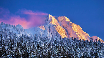 Sunrise on Vancouver Island, winter, snow, colors, clouds, trees, Mountains, sky, forest HD wallpaper