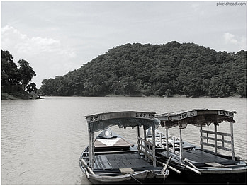Boats on the lake, white, black, boats, commercial, forest, lake HD wallpaper