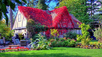 fantastic red vine covered country home r, lawn, vine, house, red, garden, r HD wallpaper