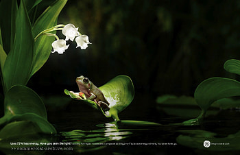 THE G.E. FROG, flowers, frog, lily of valley, eletric HD wallpaper