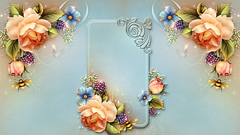 Flowers, Background HD wallpaper
