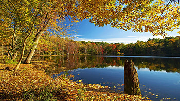 Fall in finally showing up in Central NY, leaves, trees, colors, autumn, sky, water, usa, reflections HD wallpaper
