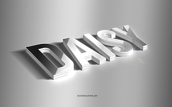 Daisy, silver 3d art, gray background, with names, Daisy name, Daisy greeting card, 3d art, with Daisy name HD wallpaper