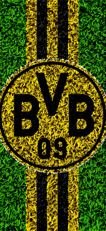 Sports, Borussia Dortmund, Football passion, Athletic competition HD phone wallpaper