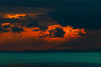Red Clouds, clouds, beautiful, , red HD wallpaper