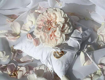 For Him and Her, rose, pink, white, satin, wedding rings, ribbons, pillow HD wallpaper