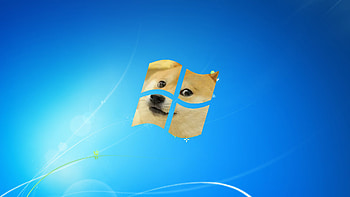Doge HD wallpaper