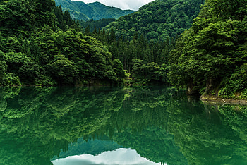 Beautiful Greenery , trees, lake, nature HD wallpaper