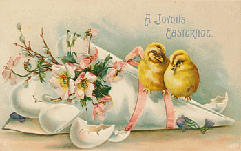 :), bouquet, bird, yellow, flower, card, easter, pasari, vintage, chick HD wallpaper