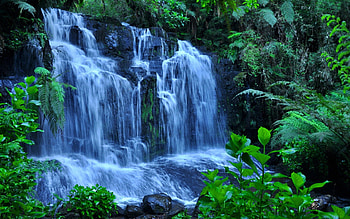 Forest waterfall, fall, beautiful, nice, summer, falling, leaves, branches, waterfall, trees, greenery, nature, water, lovely, forest, stream HD wallpaper