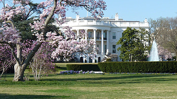 White House, Dual screen , Government headquarters, Power symbol HD wallpaper