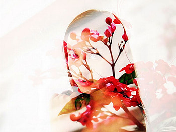 Mixed , cool, beautiful, mixed HD wallpaper
