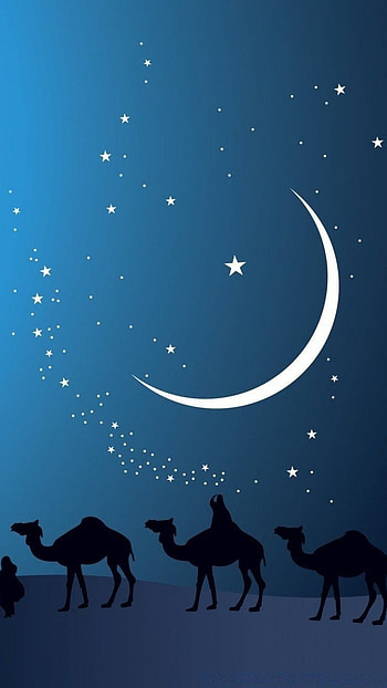Ramzan, Night, Camel, Background HD phone wallpaper