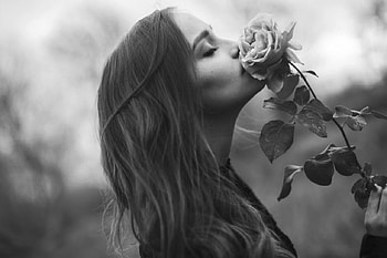 Sense, white rose, girl, perfume HD wallpaper