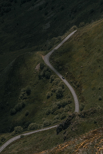 Nature, Trees, Road, Car, Machine, Sinuous, Winding HD phone wallpaper