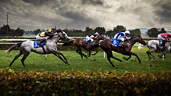 Flat racing championship, Equitation HD wallpaper