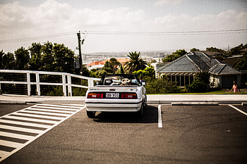 Auto, Cars, Dog, Cabriolet HD wallpaper