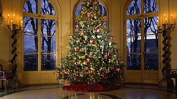 Lovely Christmas Feelimg, windows, christmas, ornaments, candle light, tree HD wallpaper