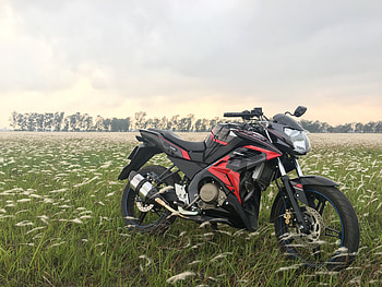 Sports, Grass, Motorcycles, Field, Side View, Motorcycle, Bike HD wallpaper
