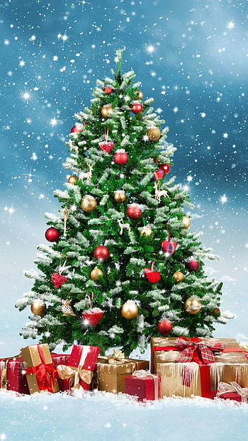 Decorated Christmas Tree Outside, gift, snowfall, snow, tree, holiday, Christmas HD phone wallpaper
