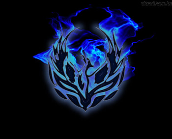 Blue Phoenix, Bird, Reborn, Phoenix, Blue HD wallpaper