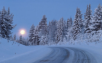 Nature, Trees, Sky, Night, Snow, Road, Forest, Full Moon, Climb, Lift HD wallpaper