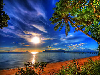 Sun behind the clouds, tropic, peaceful, sunrise, beach, shore, reflection, water, calm, sun, ocean, sunset, palms, sea, sundown, beautiful, tree, clouds, nature, sky HD wallpaper