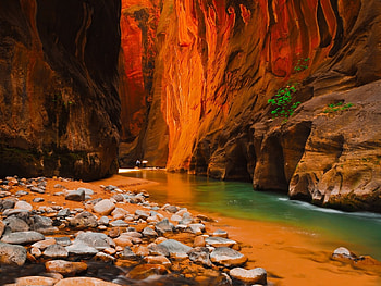 Zion National Park - Utah, Parks, USA, Zion National Park, Utah HD wallpaper