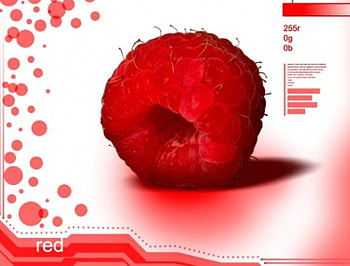 Raspberry, fruit, red HD wallpaper