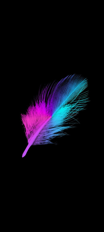 Colorful feathers, Minimalist design, Artistic expression, Vibrant HD phone wallpaper
