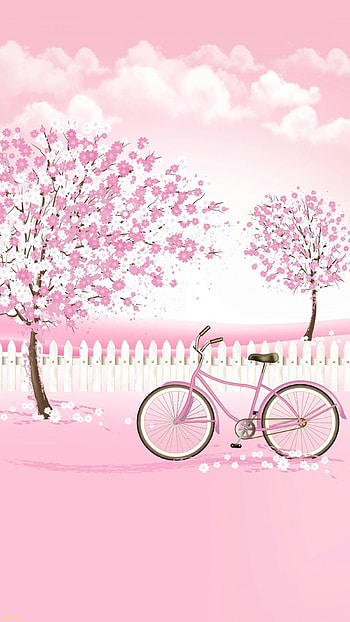 Bicycle, Girly HD phone wallpaper
