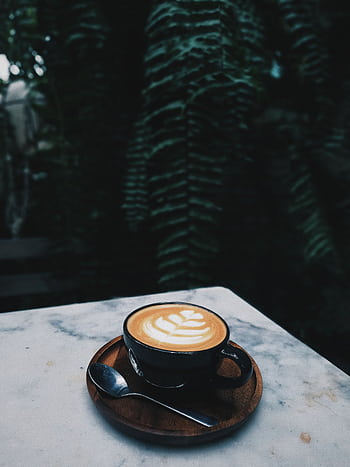 A beautifully crafted latte with latte art on a marble table, surrounded by lush green ferns. HD phone wallpaper