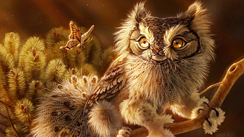 Screech Owl , owl, artist, artwork, digital-art, deviantart HD wallpaper