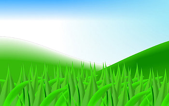 Green Hill, hills, field, sky, grass, hill HD wallpaper