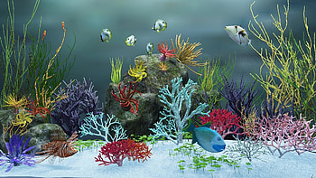 Animated Aquarium Windows : Aquarium background HD wallpaper