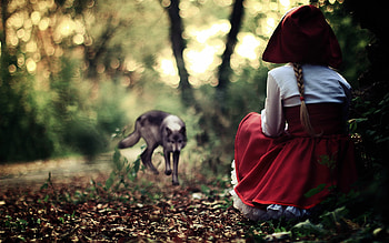 Little Red Riding Hood and the Wolf: HD wallpaper