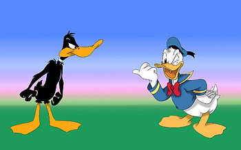 Donald Duck, Daffy Duck HD wallpaper