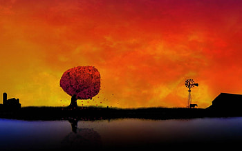 Landscape, Trees, Sunset, Sky HD wallpaper