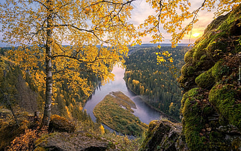 Birch and River, autumn, river, birch, rock HD wallpaper