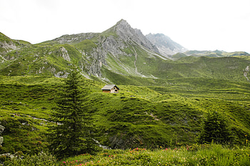 Nature, Mountains, Greens, Small House, Lodge, Hills HD wallpaper
