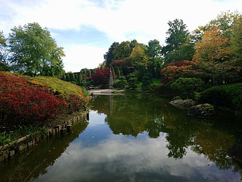 Autumn, Trees, Park, Japanese, Nature, River HD wallpaper