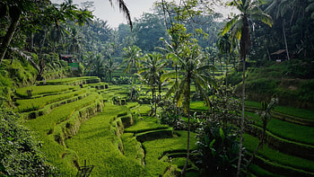 Experience Bali, Local secrets, Beaches and culture, Unmissable trip HD wallpaper