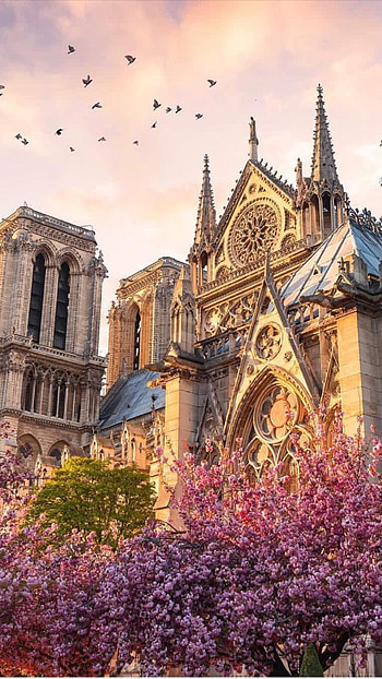 Notre-Dame Cathedral, Travels, Parisian charm, Architectural masterpiece HD phone wallpaper