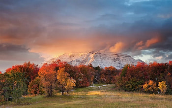 Mountain, sky, nature, cloud, tree HD wallpaper