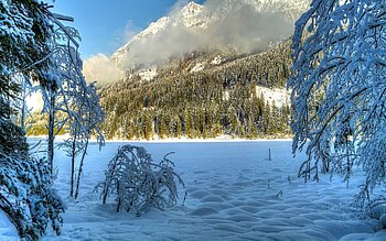 Winter, Nature, Trees, Clouds, Snow, Hills, Snow Covered, Sunny, Snowy HD wallpaper
