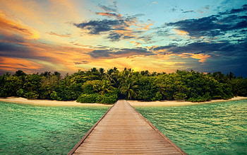 Pier to Tropical Island, sea, palms, oceans, tropical, sunsets, beaches, piers, docks, trees, nature, islands HD wallpaper