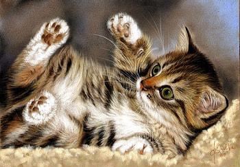 puppie, cats, puppies, play, animals HD wallpaper